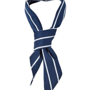 JB's wear JB's CHEFS SCARF NAVY/WHITE
