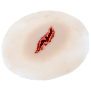 TraumaSim Self-Adhesive Laceration Jagged 1